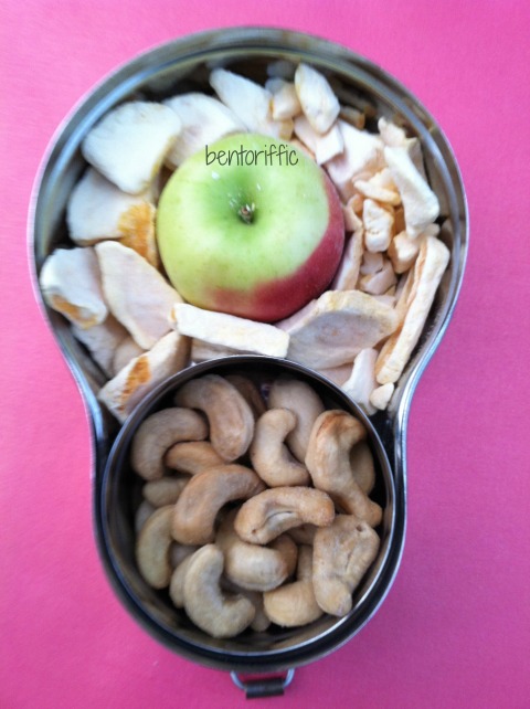Freeze dried mangos and apple snack bento