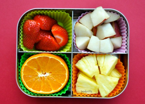 Bentoriffic fruit snack bento